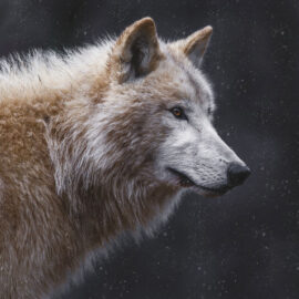 web_square_05